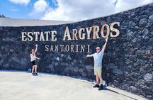 Santorini Wine Tour in two or three Wineries 