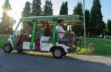 Florence Sunset Golf Cart Tour at Michelangelo Square