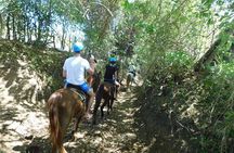 Puerto Plata Sightseeing & Horse Riding | Amber Cove & Taino Bay