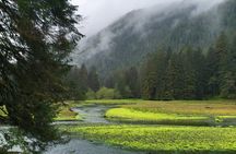 Wildlife Cruise and Homestead Discovery