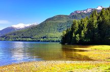 Wildlife Cruise and Homestead Discovery