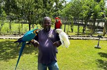 Puerto Plata Sightseeing and Countryside | Amber Cove & Taino Bay