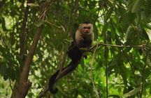 Roatan Jungle Top Wildlife Guided Eco-Park Tour