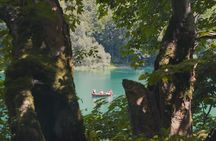 Biogradska Gora National Park Tour with Optional Add-Ons