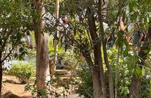 Marrakech City Tours : Morning & Afternoons Options