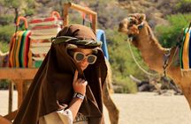 The Ultimate Camel Safari Experience in Los Cabos