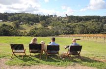 Mornington Peninsula Winery, Beer and Spirits Tour