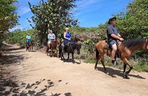 Roatan Half-day Combo 4 in One