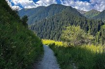 Group Tour: Big Almaty Gorge (Ayusai, Almarasan, Park)