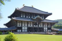 Kyoto and Nara in 1 Day in Fushimi Inari and Deer Park