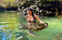 Discover Mnemba, Baraka, Jozani, Kuza, and The Rock in Zanzibar