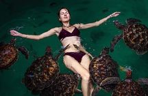 Discover Mnemba, Baraka, Jozani, Kuza, and The Rock in Zanzibar