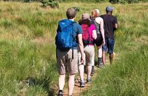 Cradle of Humankind Tour