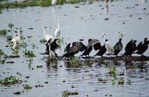Poovar Backwater boating and Trivandrum Day Trip