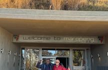 Cradle of Humankind Tour