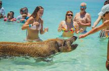 Guided All Inclusive Beach Day Excursion in Bahamas 