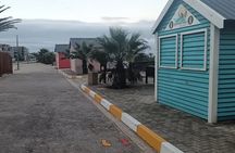 3 Day Ultimate Garden Route Tour From Port Elizabeth to George 