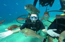Tour in Alanya with Lunch and Guided Scuba Dives from Side