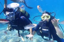 Tour in Alanya with Lunch and Guided Scuba Dives from Side