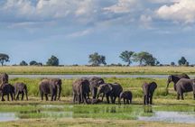 6 Days Group Multi Day Tour Masai Mara Lake Nakuru and Amboseli