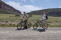 2-Days Private Safari in Naivasha