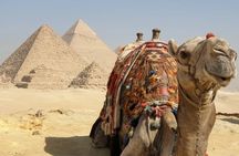 "Private Half-Day Tour to the Giza Pyramids Saqqara and Memphis