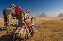 "Private Half-Day Tour to the Giza Pyramids Saqqara and Memphis