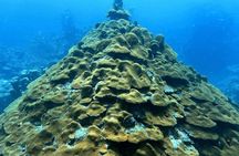 Diving Experience in Cartagena with all Incluided