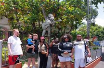 Cruise Ship passengers: From ocho rios pier to Bob Marley museum 