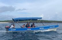 Whale Watching and Island Snorkeling Tour in Playa Venao
