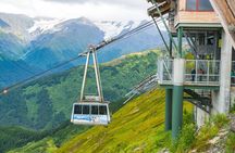 Aerial Tram and Wildlife Center tour from Anchorage