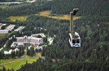 Aerial Tram and Wildlife Center tour from Anchorage