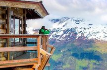 Aerial Tram and Wildlife Center tour from Anchorage