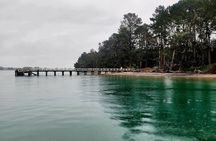 3 Hour Tauranga Scenic Cruise