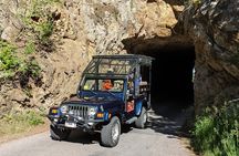Custer State Park Complete - JEEP Bison Safari - 1/2 Day Public