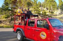 Custer State Park Complete - JEEP Bison Safari - 1/2 Day Public