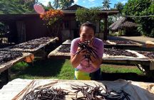 Extra Tahaa Island Boat and Full Day Tour