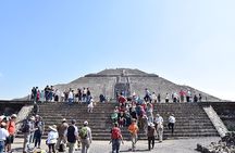 Private visit-Teotihuacan & Basilica of Guadalupe+mezcal tasting