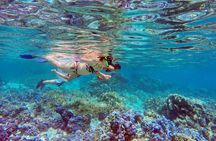 Extra Tahaa Island Boat and Full Day Tour