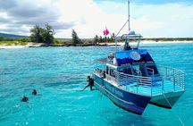 Two Tank Morning Reef Dive and Snorkel