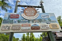  Miami to Key West Bus Tour with Narration