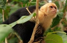 Roatan ATV Adventure with Zip Line Wildlife & Beach Excursion