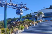Private Day Tour of Hobbiton Movie Set, Rotorua Mud Pool & More