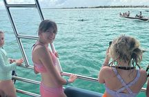 Shell Island Dolphin Sightseeing Boat Tour in Panama City Beach