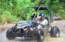 Roatan Jungle Safari ATV Dune Buggy Wildlife & Beach Tour