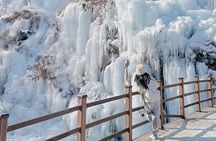 Eobi Ice Valley, Nami Island, Morning Calm and Rail Bike Seoul