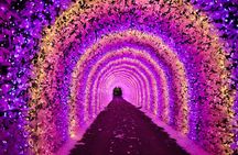 Eobi Ice Valley, Nami Island, Morning Calm and Rail Bike Seoul