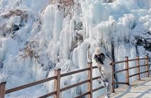 Eobi Ice Valley, Nami Island, Petite France and Morning Calm Tour