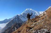8 Days Langtang Valley Trek 