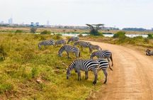 Nairobi National Park Half-Day Tour